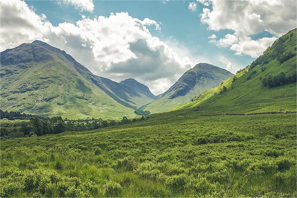 揭秘生辰八字牛配对姻缘：寻找最契合的另一半